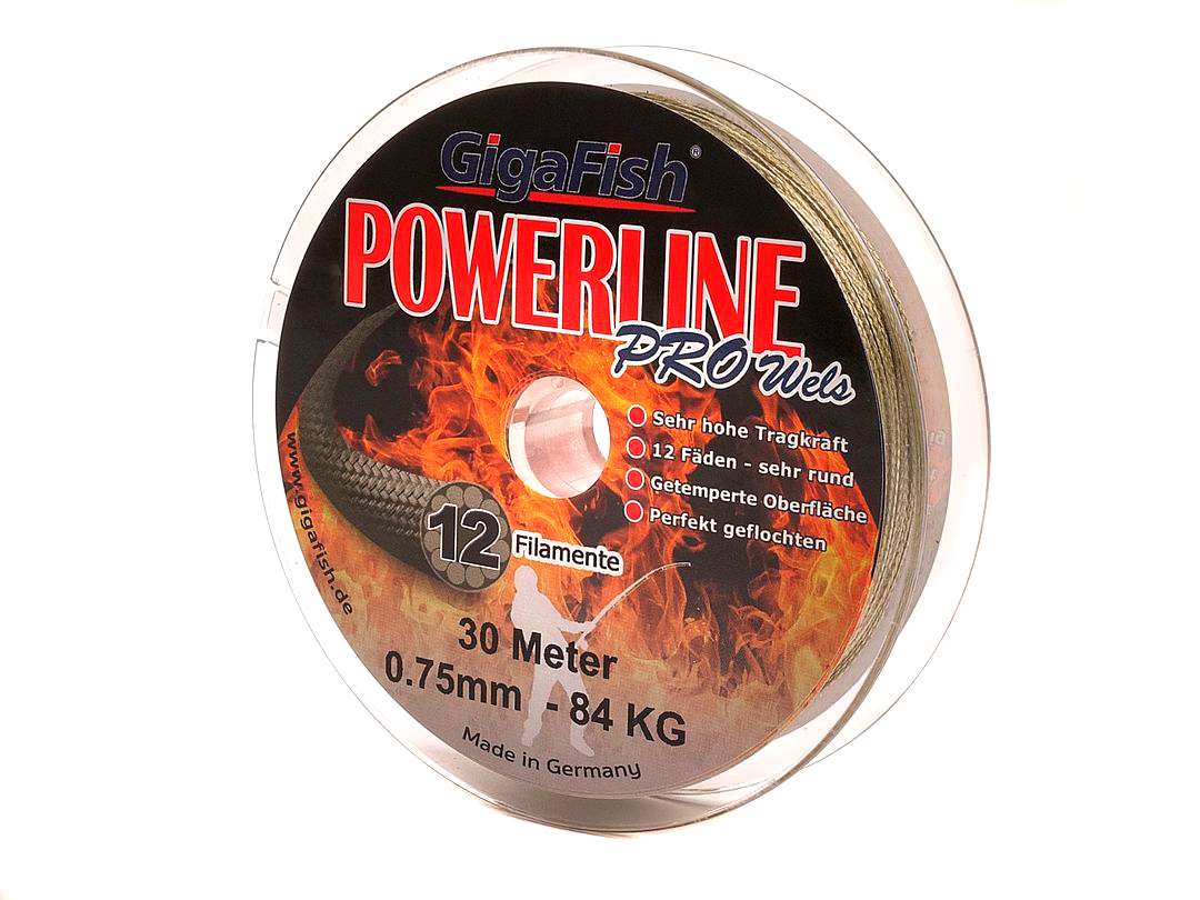 Angelvorfach Für Wels - 100cm PE-Gewinde Mit Carbonhaken Für Süßwasser